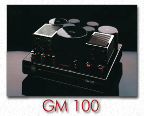 GM 100